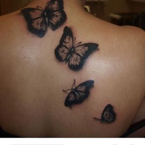 Meet your Posher, Bella